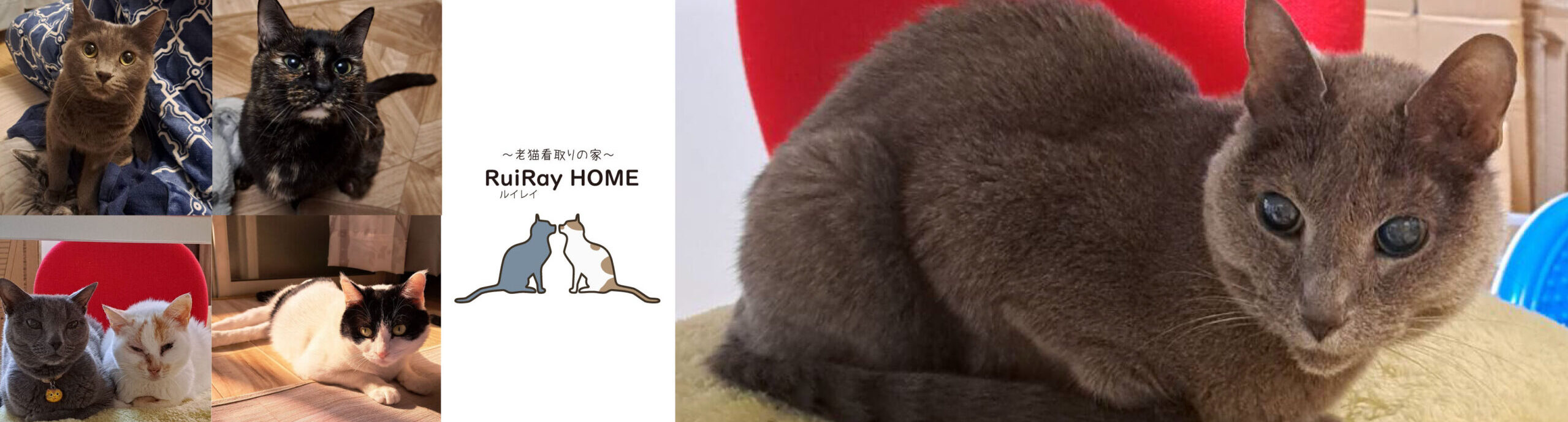 RuiRay HOME ～看取りの家